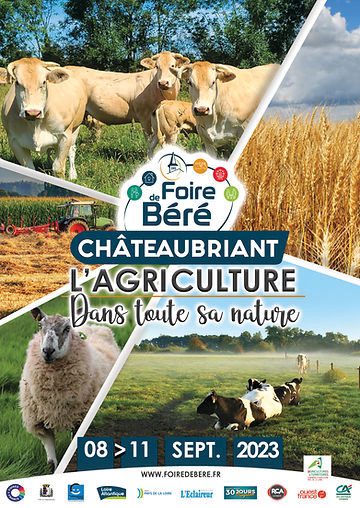 Foire de Béré 2023